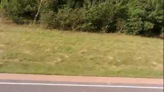 Driving Background Scenery (Free Royalty Free Stock Footage)