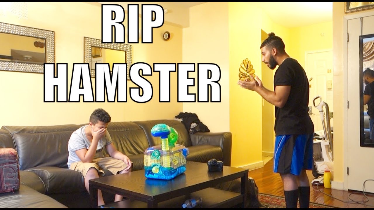 'YOUR HAMSTER DIED' PRANK!! *I bugged out*