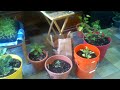 Beginning of video