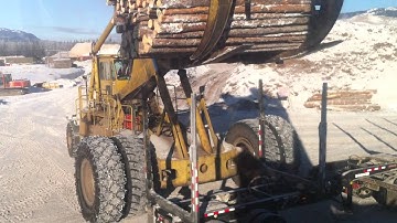 Wagner unloading short logs