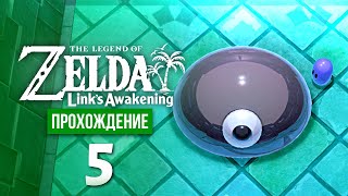 Слизнеглаз ※ The Legend of Zelda: Link's Awakening #5