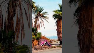 Once A Paradise Now A Ghost Of Its Former Self. The Salton Sea Expresses Its Beautiful Decay.