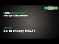 Co to jest program HALT dla hazardzisty?