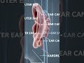 Kan ke Parde Mein Chhed ka Operation Theater Mein | Eardrum Surgery Explained