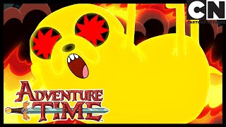 Power Animal | Adventure Time | Cartoon Network