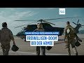 "Amalia-Effekt": Royals lösen Ansturm auf Armee der Niederlande aus