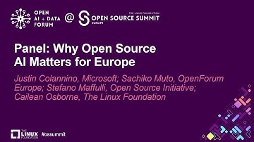 Panel: Why Open Source AI Matters for Europe - Justin Colannino, Sachiko Muto, Stefano Maffulli...