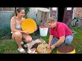 Village life in ukraine i harvesting honey 2022