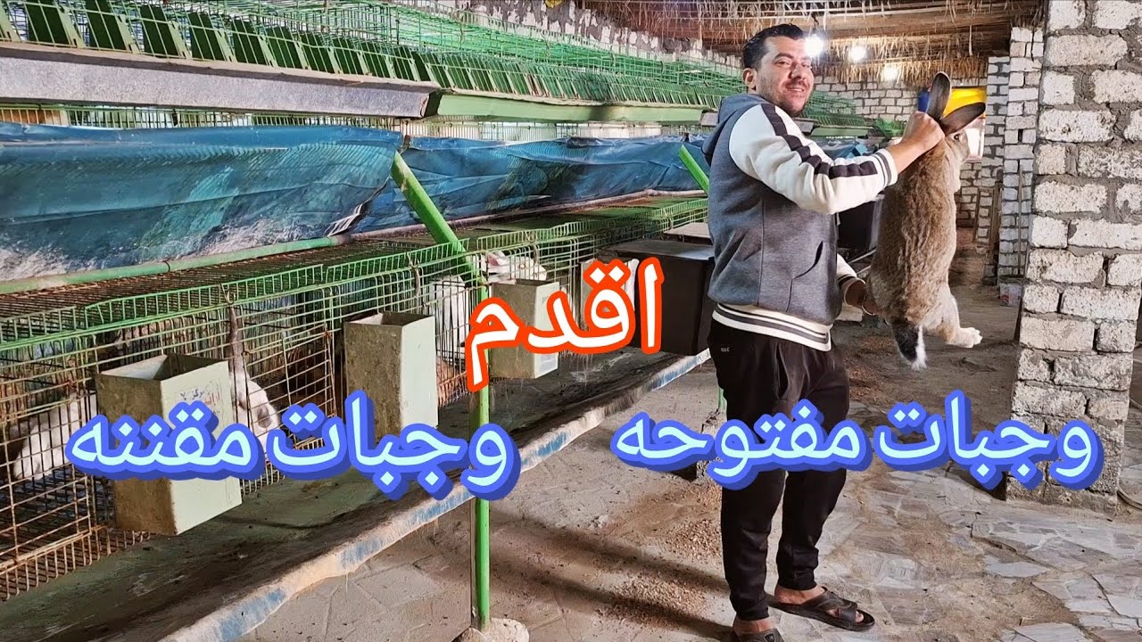 تغذية الارانب الصحيحه = نمو اسرع وربح اكثر