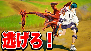 ちゃーさんフォートナイト