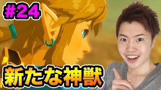 【ゼルダの伝説】謎解きをしながら新たな神獣を目指す！#24