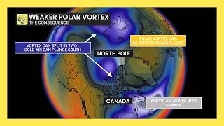 Polar Vortex Update: Signs of weakening and potential impacts | #polarvortex