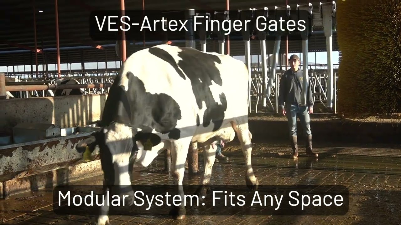 Finger Gates by VES-Artex