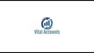 What is Vital Accounts and How it is useful for your travel agency. screenshot 3