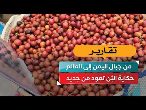From the Mountains of Yemen to the World.. The Story of Coffee Returns Anew
