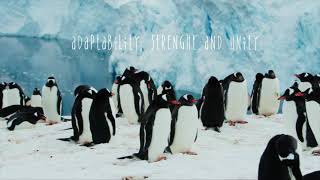 PenguinsUnited for a Thriving Future