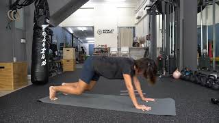 Plank to 4 Point Squat