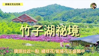 竹子湖祕境｜頂湖｜鐘聲幸福觀景台｜繡球花海｜跟著尼克去 ... 