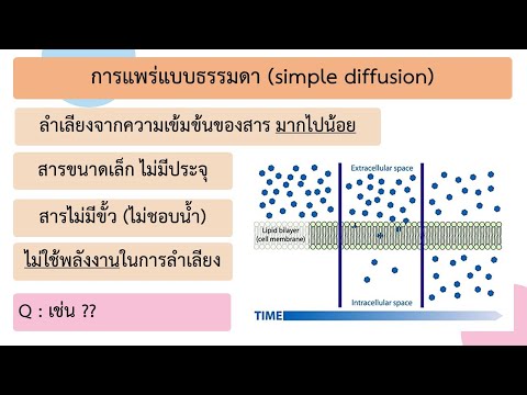 วีดีโอ: โมเลกุลใดใช้การขนส่งแบบพาสซีฟ?