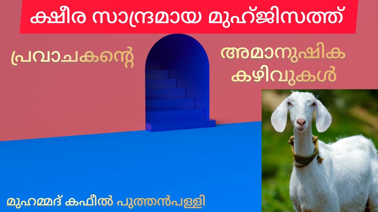 കറവ വറ്റിയിട്ടും ക്ഷീര സാന്ദ്രമായ മുഹ്‌ജിസത്ത് gulmohamed999