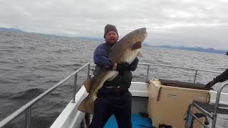 Skrei Cod - Lady Elsie Tromso