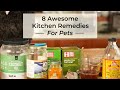 8 Awesome Kitchen Remedies for Dogs and Cats