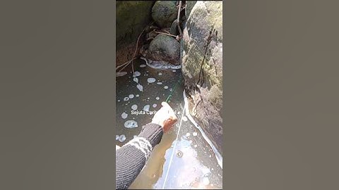 Mancing Sidat ‼️ Moment Yang Paling Membagongkan