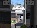 急ブレーキ犬
