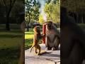 子猿がやらかした #5