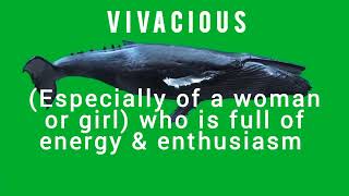 Details Vivacious English vocabulary Learn English Daily English words News