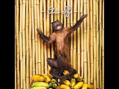 Chk Chk Chk (!!!) - All U writers