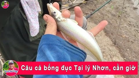 Câu cá bống đục Tại lý Nhơn, cần giờ | goby fishing | Thanh Phúc Vlogs