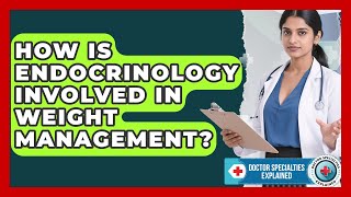 How Is Endocrinology Involved in Weight Management? | Doctor Specialties Explained News