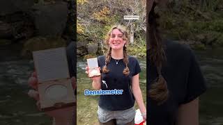 Speedy Stream Ecology Definitions