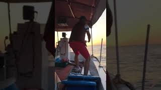 Palamut Avı Alanya Murat Arpaci