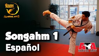 Songahm 1 - Formula De Cinto Blanco - Taekwondo Ata
