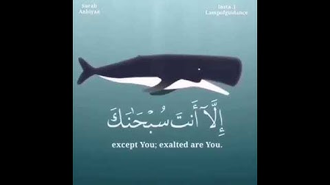 اسلام صبحي وذا النون حالات واتس اب قران كريم جميل