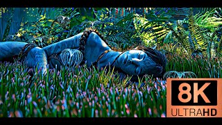 Download Lagu 【8K/120fps】This is 8K \ MP3