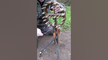 WHAT CAN FALL INTO THIS TRAP??  #trap #survival #trapping