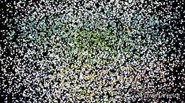 Lets play arrow .io part1