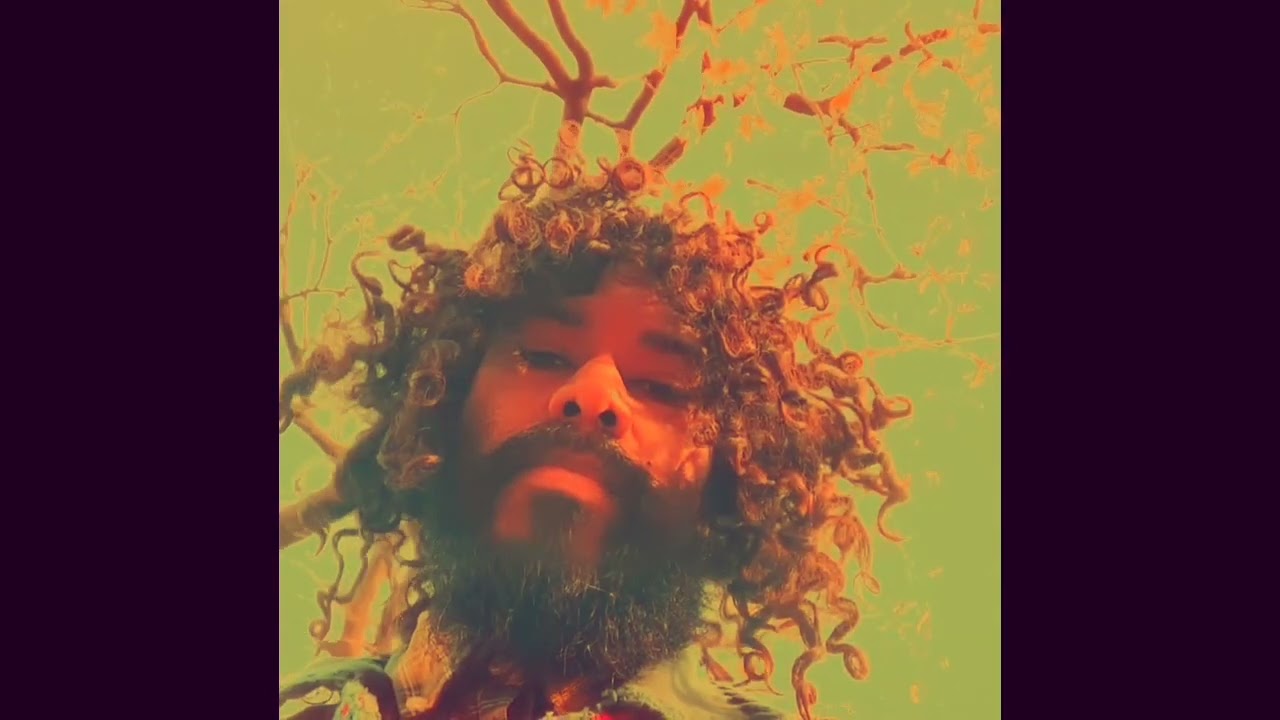 Watch William Alexander - Sunflowers on YouTube Watch William Alexander - Sunflowers on YouTube