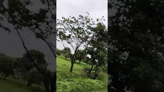 #punjabisong