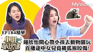 鐘欣怡開心帶小孩去動物園玩 直播途中女兒竟被狐猴咬傷!《小姐不熙娣》EP184精華 ｜MyVideo數位上架 搶先看
