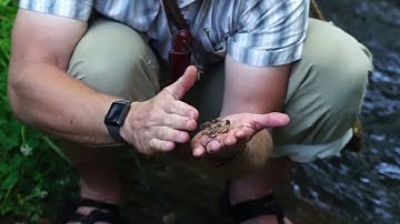 How to Make Primitive Yucca Soap in the Desert