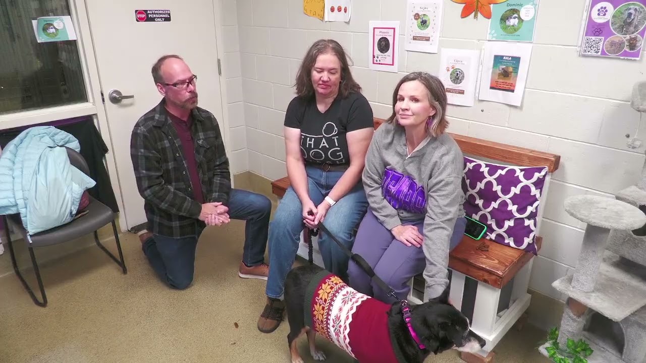 Jeanette Hunt Animal Shelter