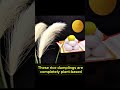 Harvest Moon in Japan 🌕 | Vegan Rice Dumplings for the Full Moon