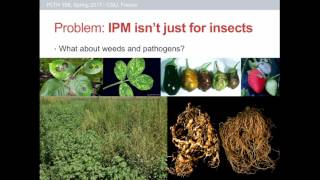 PLTH 108 - Lecture 23 - IPM in Weeds and Pathogens