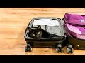 Why Black Cats are Magical! ✨🐈‍⬛ Spooky Black Cat Moments