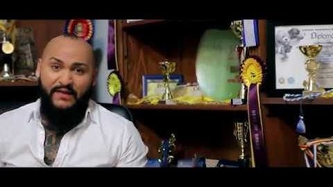 Dani Mocanu - Campion  | Official Video