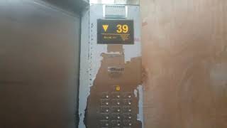[Scared chimes...] Xizi-Otis high-speed service elevator in Sky City International Tower, Haikou